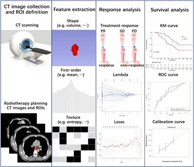 CT-based radiomics for predicting radio-chemotherapy response and overall survival in nonsurgical esophageal carcinoma